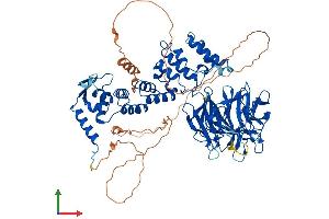 AlphaFold protein structure predicition of Human Recombinant KLHL1 Protein, UniprotID Q9NR64