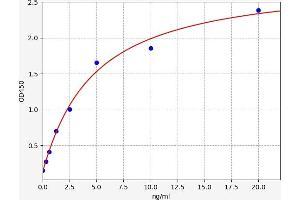 Typical standard curve (ACTN2 Kit ELISA)