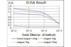 ELISA image for anti-Myogenic Factor 6 (MYF6) (AA 85-150) antibody (ABIN1845795) (MYF6 anticorps  (AA 85-150))