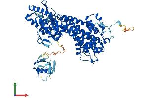AlphaFold protein structure predicition of Human Recombinant HAL Protein, UniprotID P42357