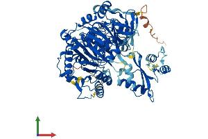 AlphaFold protein structure predicition of Mouse Recombinant Acss2 Protein, UniprotID Q9QXG4