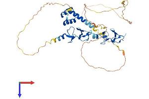 AlphaFold protein structure predicition of Mouse Recombinant Lhx5 Protein, UniprotID P61375