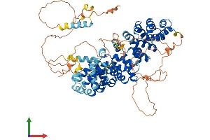 AlphaFold protein structure predicition of Human Recombinant PKP1 Protein, UniprotID Q13835