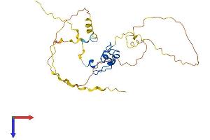 AlphaFold protein structure predicition of Mouse Recombinant Nanos1 Protein, UniprotID Q80WY3