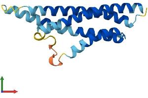 AlphaFold protein structure predicition of Mouse Recombinant Cnih3 Protein, UniprotID Q6ZWS4