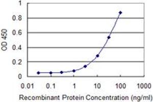 Detection limit for recombinant GST tagged MLF2 is 0. (MLF2 anticorps  (AA 1-248))