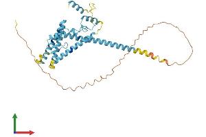 AlphaFold protein structure predicition of Mouse Recombinant Luc7l Protein, UniprotID Q9CYI4