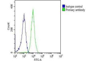 Overlay histogram showing Jurkat cells stained with (ABIN6242522 and ABIN6577190)(green line).