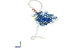 AlphaFold protein structure predicition of Mouse Recombinant Thumpd3 Protein, UniprotID P97770