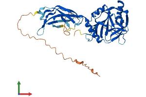 AlphaFold protein structure predicition of Human Recombinant PHYHIPL Protein, UniprotID Q96FC7