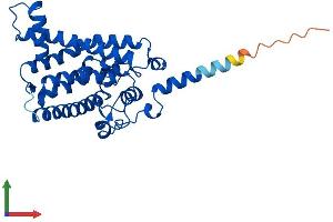 AlphaFold protein structure predicition of Mouse Recombinant Sc5d Protein, UniprotID O88822