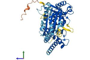 AlphaFold protein structure predicition of Human Recombinant TRIP13 Protein, UniprotID Q15645