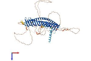 AlphaFold protein structure predicition of Human Recombinant JPH1 Protein, UniprotID Q9HDC5