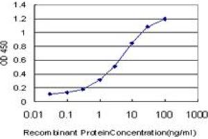 Detection limit for recombinant GST tagged RIPK2 is approximately 0. (RIPK2 anticorps  (AA 431-540))