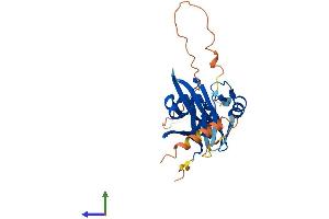 AlphaFold protein structure predicition of Human Recombinant SIAH3 Protein, UniprotID Q8IW03