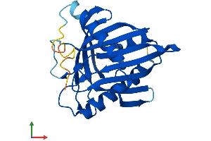 AlphaFold protein structure predicition of Mouse Recombinant Stard4 Protein, UniprotID Q99JV5