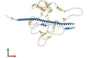 AlphaFold protein structure predicition of Human Recombinant NCOA4 Protein, UniprotID Q13772