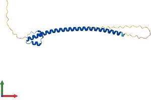 AlphaFold protein structure predicition of Human Recombinant MAFG Protein, UniprotID O15525