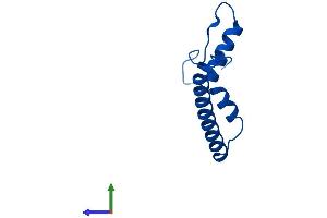 AlphaFold protein structure predicition of Human Recombinant MRPS21 Protein, UniprotID P82921