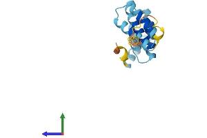 AlphaFold protein structure predicition of Human Recombinant FIS1 Protein, UniprotID Q9Y3D6