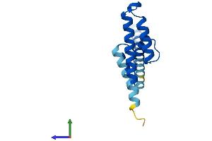 AlphaFold protein structure predicition of Mouse Recombinant Pam16 Protein, UniprotID Q9CQV1