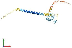 AlphaFold protein structure predicition of Human Recombinant RNF24 Protein, UniprotID Q9Y225