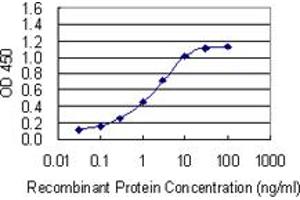 Detection limit for recombinant GST tagged NOMO3 is 0. (NOMO3 anticorps  (AA 966-1033))