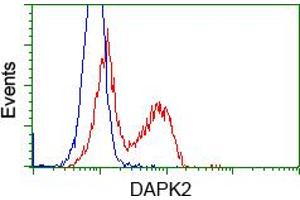 HEK293T cells transfected with either pCMV6-ENTRY DAPK2 (RC216274) (Red) or empty vector control plasmid (Blue) were immunostained with anti-DAPK2 mouse monoclonal (ABIN2452941), and then analyzed by flow cytometry.