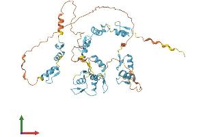 AlphaFold protein structure predicition of Human Recombinant FIZ1 Protein, UniprotID Q96SL8