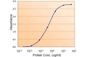 Image no. 3 for anti-Fumarate Hydratase (FH) (Internal Region) antibody (ABIN374767) (FH anticorps  (Internal Region))