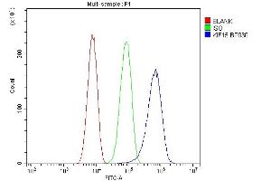 Flow Cytometry analysis of SiHa cells using anti-KIF15 antibody (ABIN6719385).