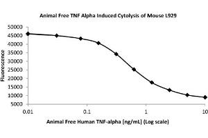 SDS-PAGE of Human Tumor Necrosis Factor alpha Recombinant Protein (Animal Free) Bioactivity of Human Tumor Necrosis Factor alpha Animal Free Recombinant Protein.