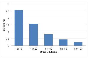Human Urine Sample Dilutions Tested with the Urea Assay Kit.