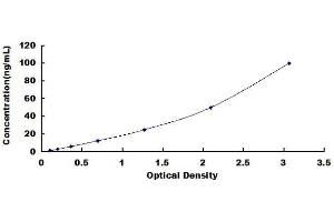 ELISA image for Apolipoprotein D (APOD) ELISA Kit (ABIN1568463) (Apolipoprotein D Kit ELISA)