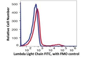 Flow Cytometry (FACS) image for anti-lambda Light Chain (Lambda-IgLC) antibody (FITC) (ABIN6253021) (Lambda-IgLC anticorps  (FITC))