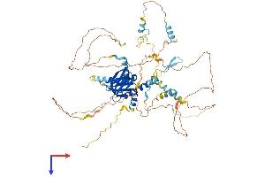 AlphaFold protein structure predicition of Mouse Recombinant Numb Protein, UniprotID Q9QZS3