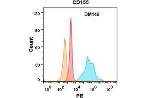CD155 protein is highly expressed on the surface of Expi293 cell membrane. (Poliovirus Receptor anticorps  (AA 21-343))