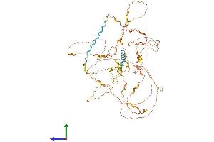AlphaFold protein structure predicition of Mouse Recombinant Ggn Protein, UniprotID Q80WJ1