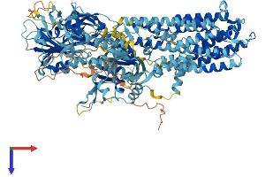 AlphaFold protein structure predicition of Mouse Recombinant Atp13a2 Protein, UniprotID Q9CTG6