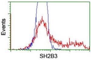 HEK293T cells transfected with either RC218359 overexpress plasmid (Red) or empty vector control plasmid (Blue) were immunostained by anti-SH2B3 antibody (ABIN2454461), and then analyzed by flow cytometry. (SH2B3 anticorps)