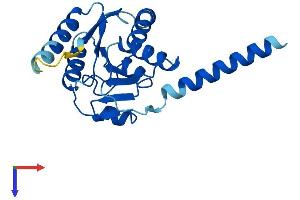 AlphaFold protein structure predicition of Mouse Recombinant Alg14 Protein, UniprotID Q9D081