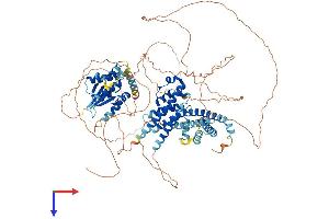 AlphaFold protein structure predicition of Human Recombinant SWT1 Protein, UniprotID Q5T5J6