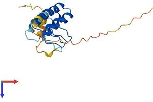 AlphaFold protein structure predicition of Human Recombinant ANKRD37 Protein, UniprotID Q7Z713