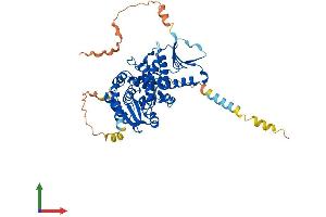 AlphaFold protein structure predicition of Mouse Recombinant Cdc14b Protein, UniprotID Q6PFY9