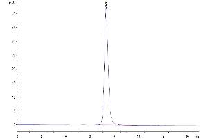 The purity of Human CD55 is greater than 95 % as determined by SEC-HPLC. (CD55 Protein (AA 35-353) (His tag))