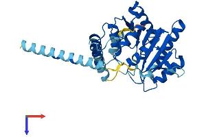 AlphaFold protein structure predicition of Mouse Recombinant Alg5 Protein, UniprotID Q9DB25