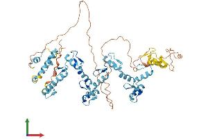 AlphaFold protein structure predicition of Human Recombinant ZNF461 Protein, UniprotID Q8TAF7