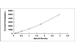 Typical standard curve (SERPINB3 Kit ELISA)