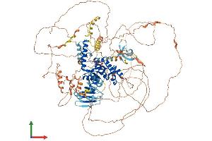 AlphaFold protein structure predicition of Mouse Recombinant Alg13 Protein, UniprotID Q9D8C3