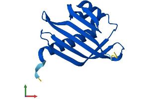 AlphaFold protein structure predicition of Human Recombinant NUTF2 Protein, UniprotID P61970